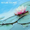 Nature Sounds Nature Music、Nature、Nature Sounds《Medium Fan Sounds Spa Collection To Help with Yoga》