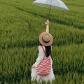 摇訞訞《离人愁》