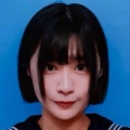 sica《钢铁是怎样炼成的》