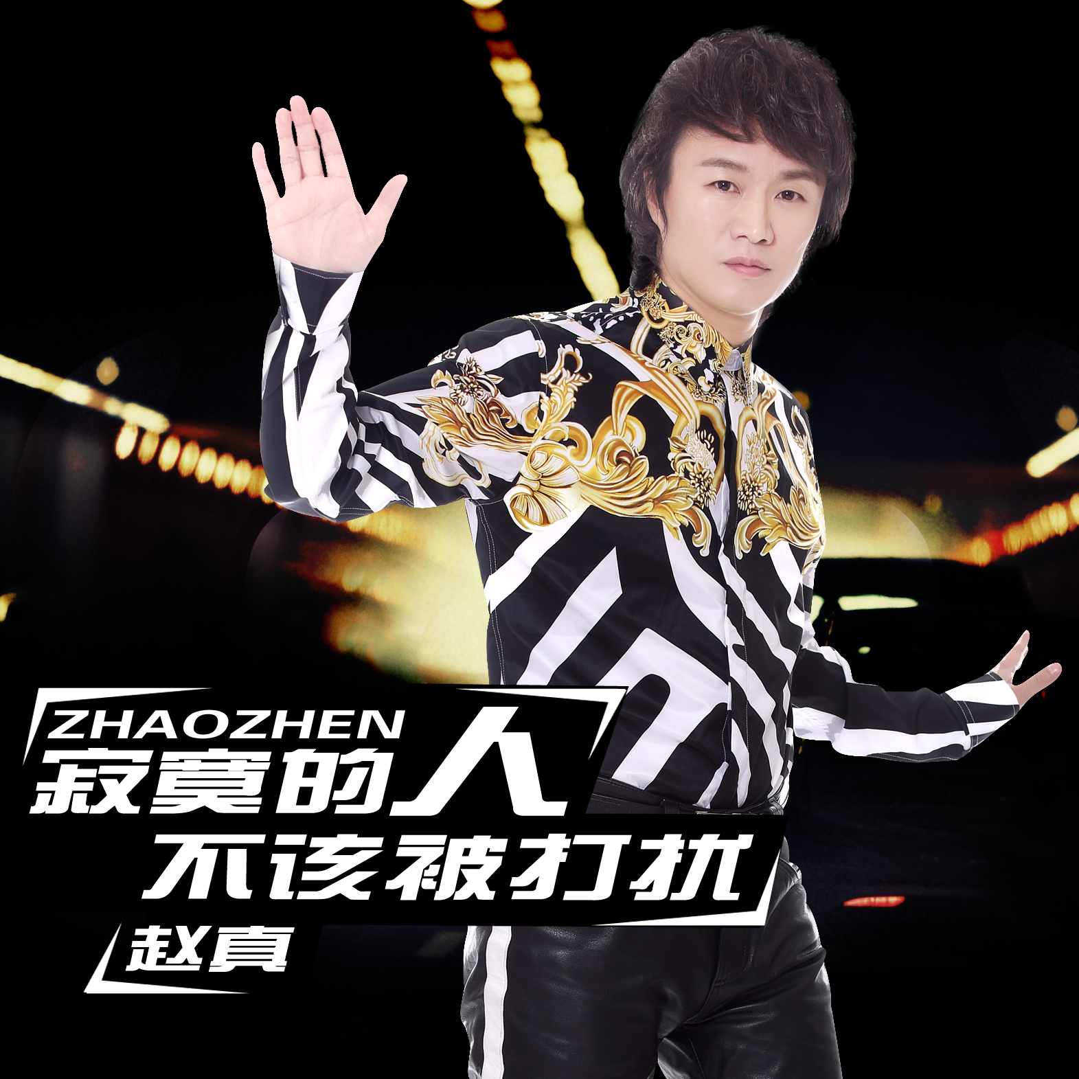 赵真寂寞的人不该被打扰