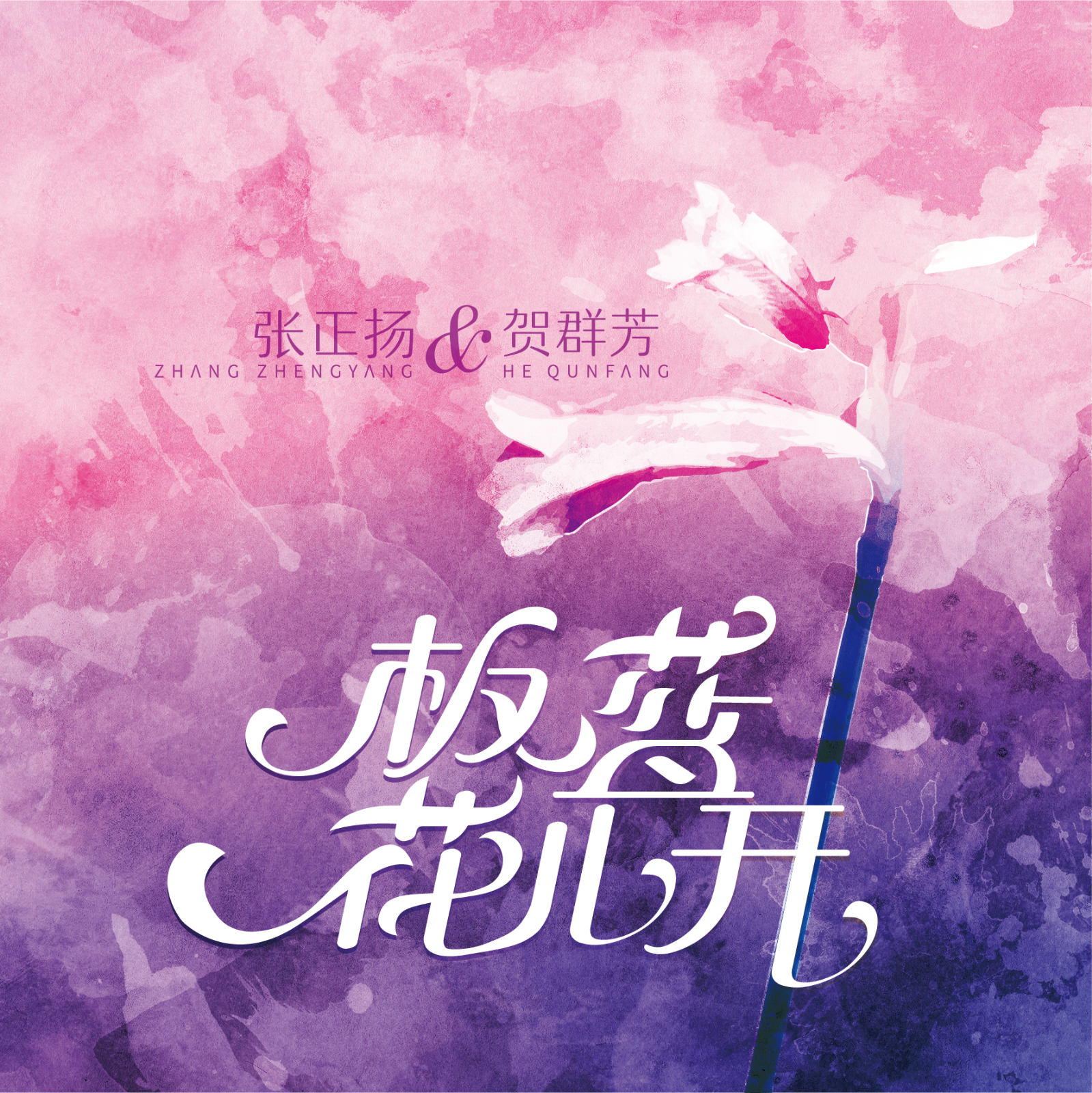 张正扬_贺群芳__高音质在线试听_板蓝花儿开歌词|歌曲下载_酷狗音乐板