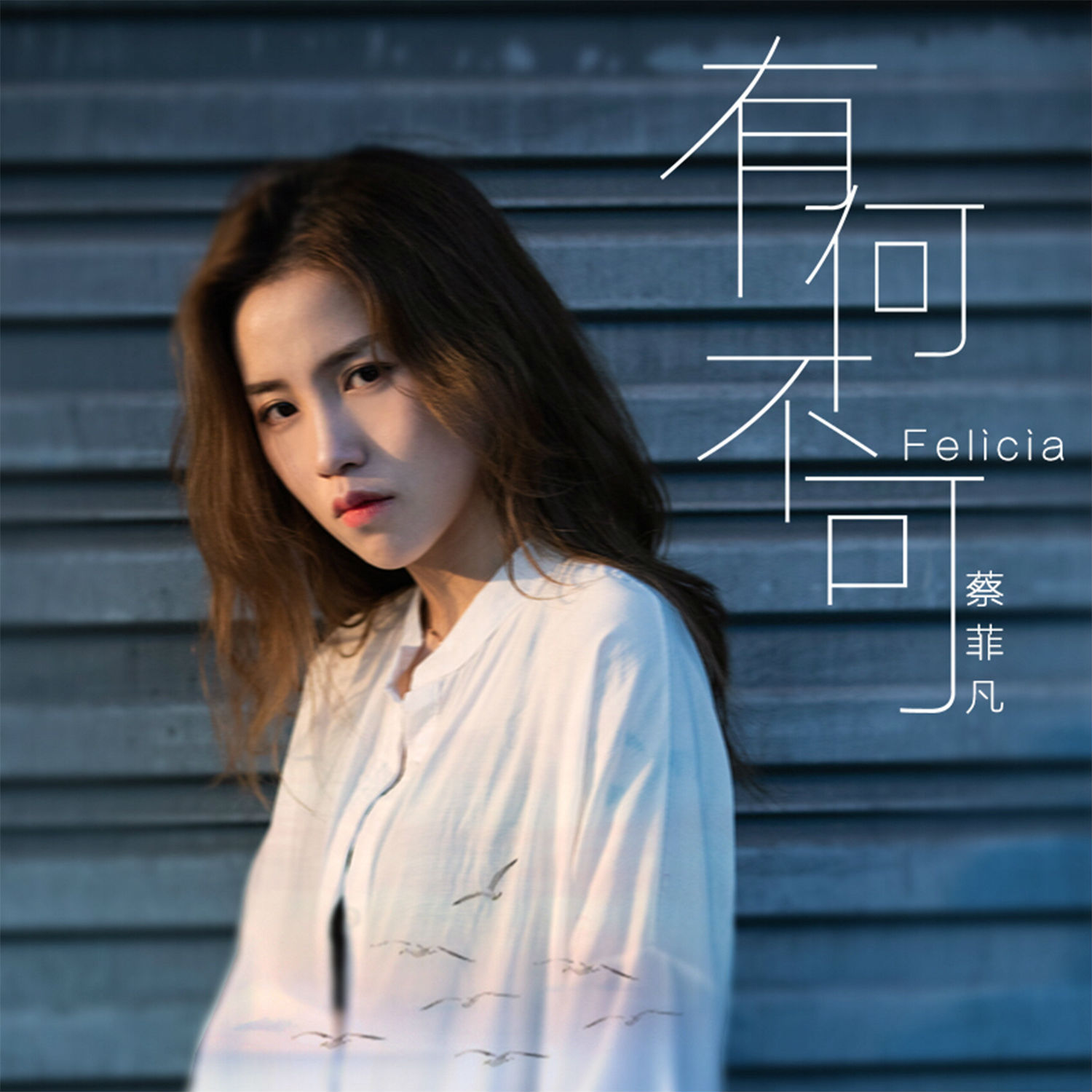 何不可_felicia蔡菲凡__高音质在线试听_有何不可歌词|歌曲下载_酷狗