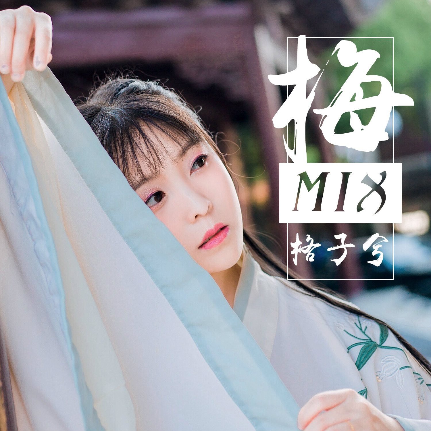 dj版)_格子兮__高音质在线试听_梅 (dj版)歌词|歌曲下载_酷狗音乐梅