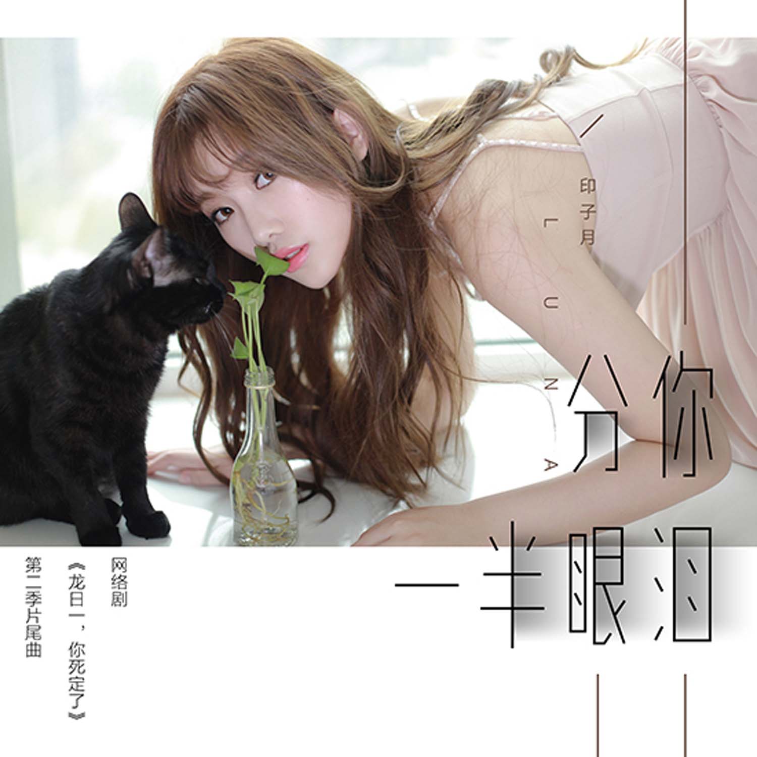 分你一半眼泪_印子月_高音质在线试听_分你一半眼泪歌词|歌曲下载