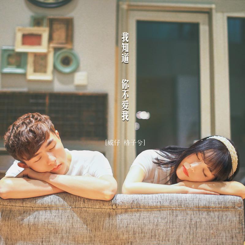 威仔格子兮我知道你不爱我