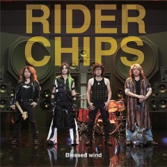 Rider Chips Kamen Rider Anniversary Collaboration Project 改造 Covers 专辑 乐库频道 酷狗网