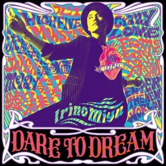 入野自由 Dare To Dream 专辑 乐库频道 酷狗网