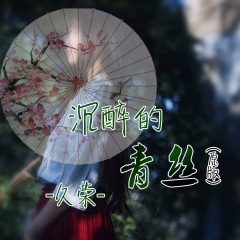 沉醉的青丝（林宝馨 伴奏）
