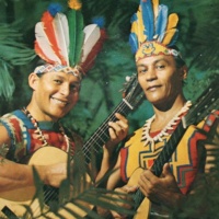 Los Índios Tabajaras资料,Los Índios Tabajaras最新歌曲,Los Índios Tabajaras音乐专辑,Los Índios Tabajaras好听的歌