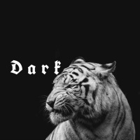 Dark资料,Dark最新歌曲,Dark音乐专辑,Dark好听的歌