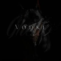 VodKe资料,VodKe最新歌曲,VodKe音乐专辑,VodKe好听的歌