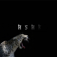 HSHK资料,HSHK最新歌曲,HSHK音乐专辑,HSHK好听的歌