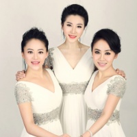 黑鸭子演唱组资料,黑鸭子演唱组最新歌曲,黑鸭子演唱组音乐专辑,黑鸭子演唱组好听的歌