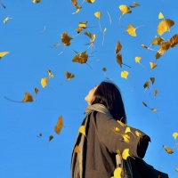 金钰双双资料,金钰双双最新歌曲,金钰双双音乐专辑,金钰双双好听的歌