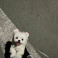 阿美呀资料,阿美呀最新歌曲,阿美呀音乐专辑,阿美呀好听的歌