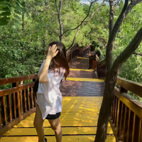杨不乖资料,杨不乖最新歌曲,杨不乖音乐专辑,杨不乖好听的歌