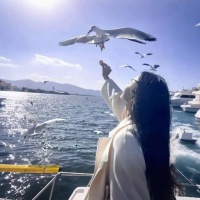 奶芙泡资料,奶芙泡最新歌曲,奶芙泡音乐专辑,奶芙泡好听的歌