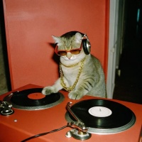 DJ阿楠资料,DJ阿楠最新歌曲,DJ阿楠音乐专辑,DJ阿楠好听的歌