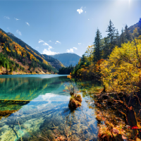 五佰资料,五佰最新歌曲,五佰音乐专辑,五佰好听的歌