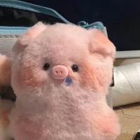 Kbz小猪资料,Kbz小猪最新歌曲,Kbz小猪音乐专辑,Kbz小猪好听的歌