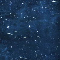 失落花园_资料,失落花园_最新歌曲,失落花园_音乐专辑,失落花园_好听的歌