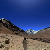 Jellyrose资料,Jellyrose最新歌曲,Jellyrose音乐专辑,Jellyrose好听的歌