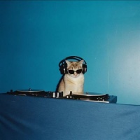 音乐的入门到改行资料,音乐的入门到改行最新歌曲,音乐的入门到改行音乐专辑,音乐的入门到改行好听的歌