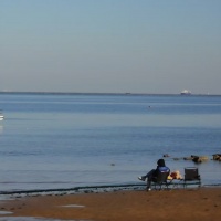 陈言资料,陈言最新歌曲,陈言音乐专辑,陈言好听的歌