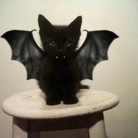 Herme4资料,Herme4最新歌曲,Herme4音乐专辑,Herme4好听的歌