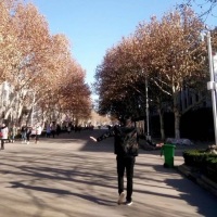 安静的一个游客y