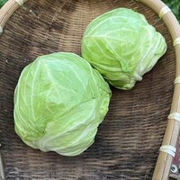 长胜001