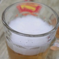 傻傻的书呆子