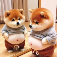 蓝桉De辰逐