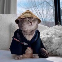 不知道改啥名好