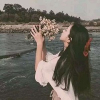芳洲658766