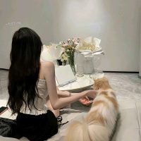 丹丹HANI