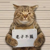 一曲苍白