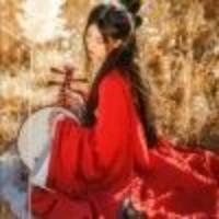 路招摇313