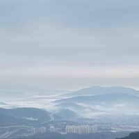 将军不追野兔