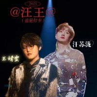 w汪王w
