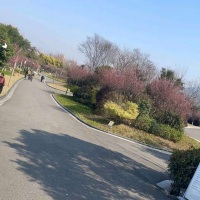 俊豪牛人