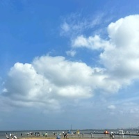 赢赢