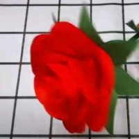 黄紫嫣922