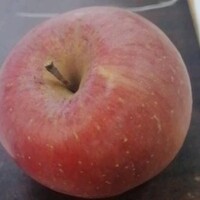 888钢铁侠