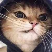 鬼混人