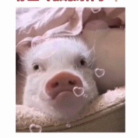 可口可乐0000