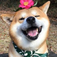 Biu星星呀