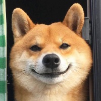 无名的Y先生