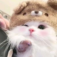 一二一喵