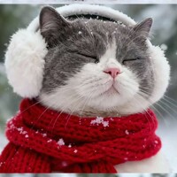 ✎ℳ๓渝潇潇✾